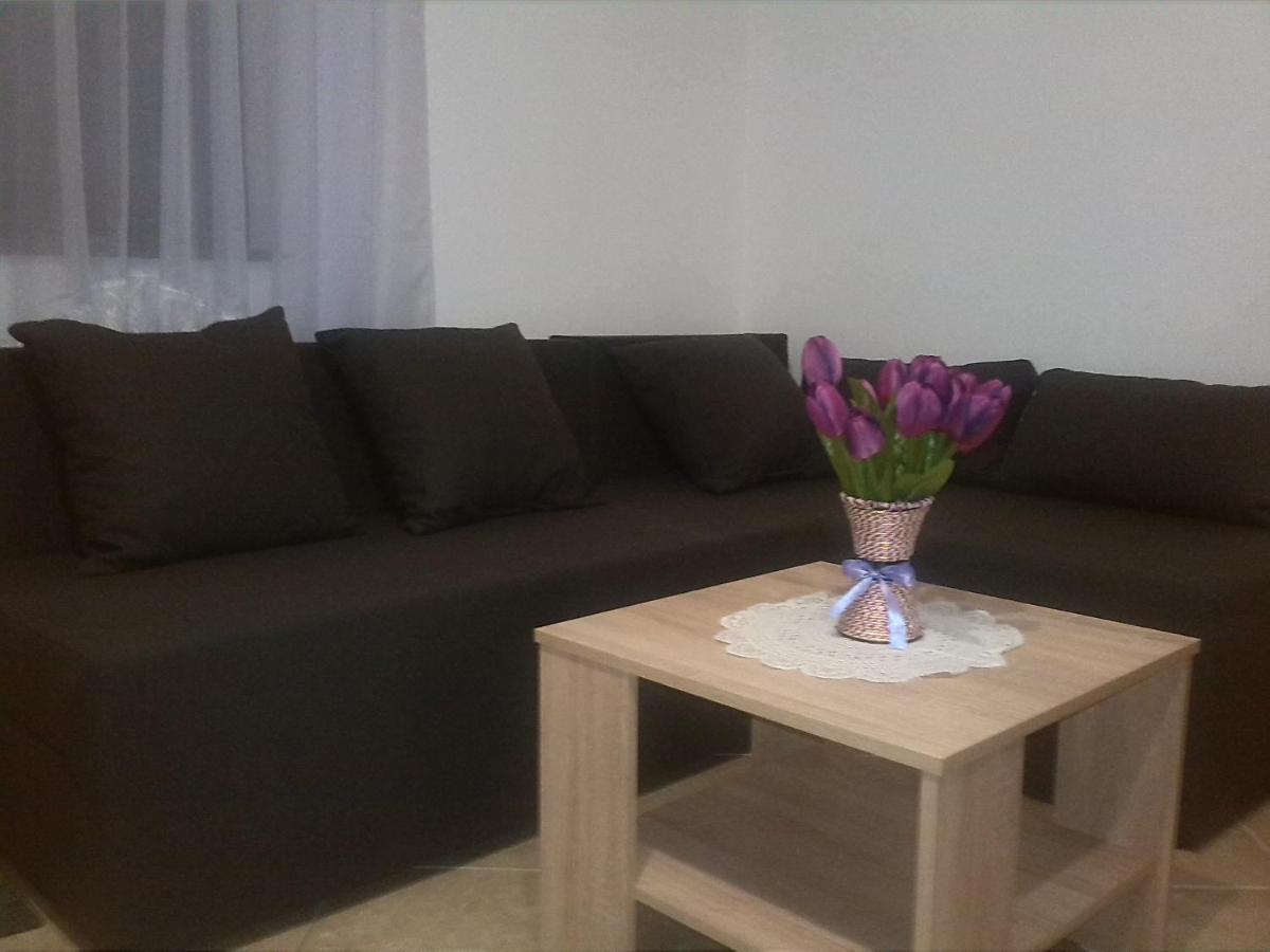 Apartman Borosa Vir Luaran gambar